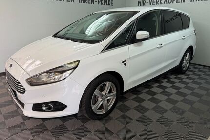 Ford S-Max Gebrauchtwagen