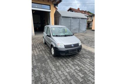 Fiat Panda Gebrauchtwagen