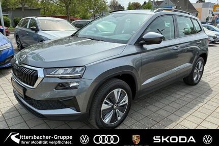 Skoda Karoq Gebrauchtwagen