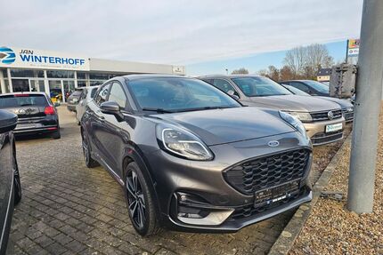 Ford Puma Gebrauchtwagen