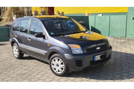 Ford Fusion Gebrauchtwagen