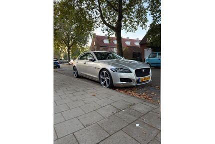 Jaguar XF Gebrauchtwagen