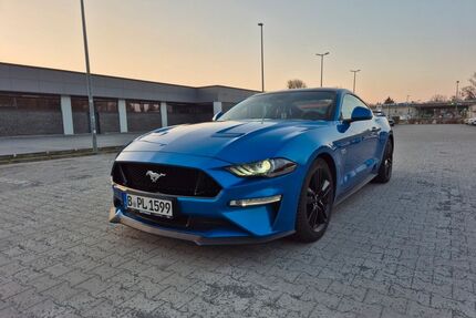 Ford Mustang Gebrauchtwagen