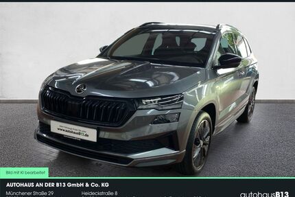Skoda Karoq Gebrauchtwagen
