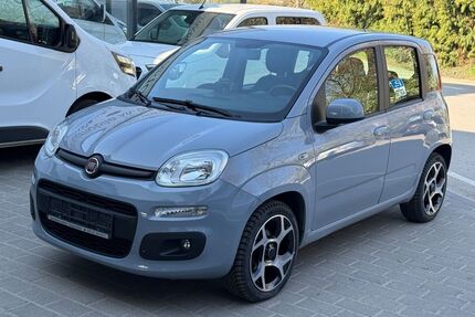 Fiat Panda Gebrauchtwagen