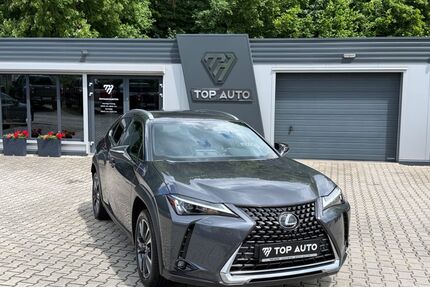 Lexus UX Gebrauchtwagen