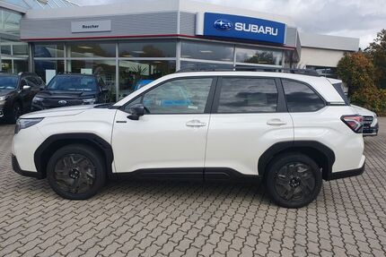 Subaru Forester Gebrauchtwagen