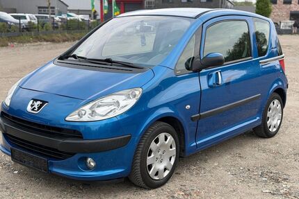 Peugeot 1007 Gebrauchtwagen