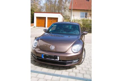 VW Beetle Gebrauchtwagen