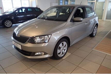 Skoda Fabia Gebrauchtwagen