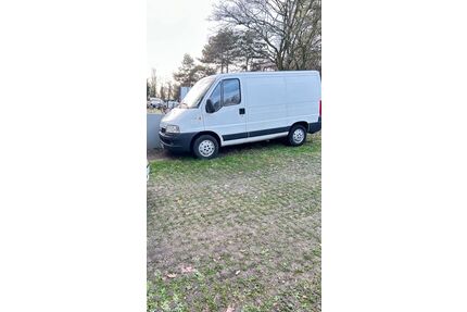 Fiat Ducato Gebrauchtwagen