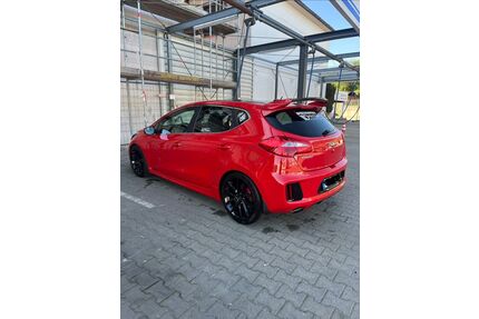 Kia ceed / Ceed Gebrauchtwagen