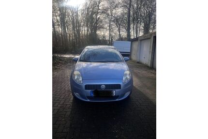 Fiat Punto Gebrauchtwagen