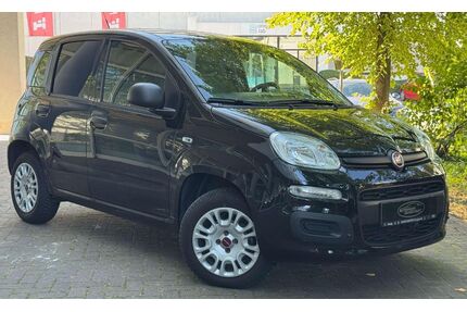 Fiat Panda Gebrauchtwagen