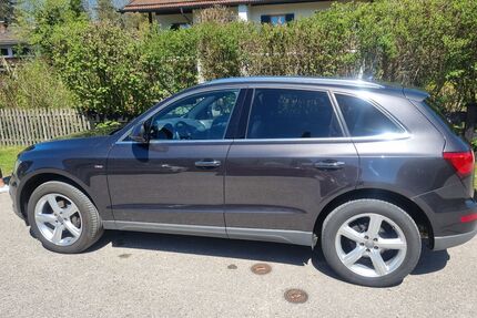 Audi Q5 Gebrauchtwagen