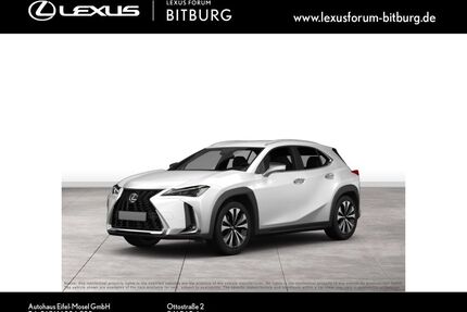 Lexus UX Gebrauchtwagen