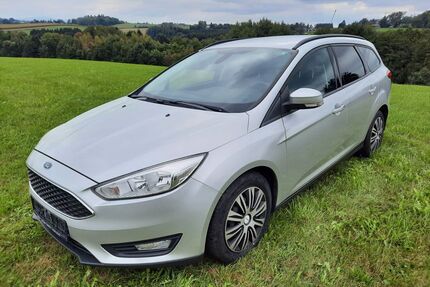 Ford Focus Gebrauchtwagen