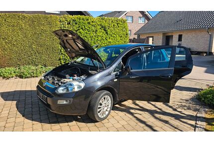 Fiat Punto Evo Gebrauchtwagen