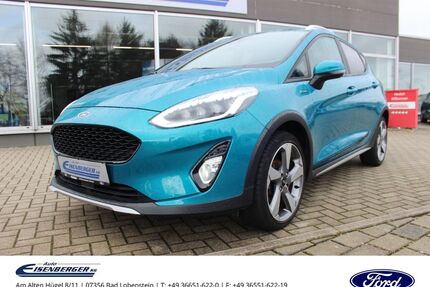 Ford Fiesta Gebrauchtwagen