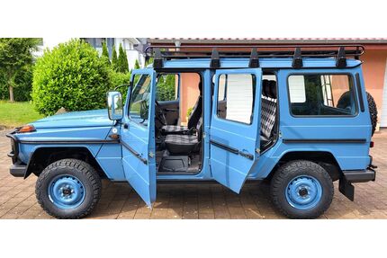 Mercedes-Benz G 290 Gebrauchtwagen
