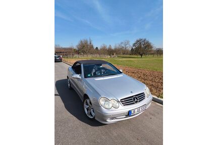 Mercedes-Benz CLK 500 Gebrauchtwagen