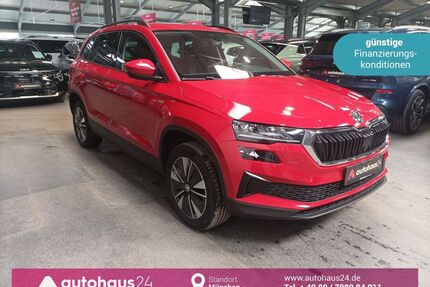 Skoda Karoq Gebrauchtwagen