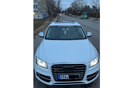 Audi SQ5 Gebrauchtwagen