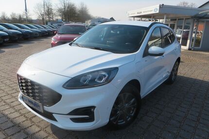 Ford Kuga Gebrauchtwagen