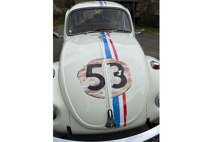 VW Käfer Gebrauchtwagen