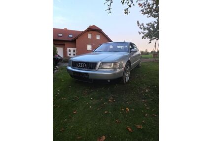 Audi A8 Gebrauchtwagen