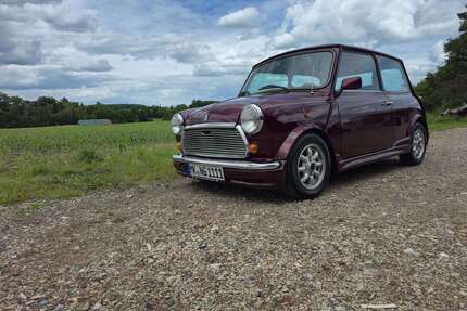 Austin Rover Mini 