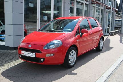 Fiat Punto Gebrauchtwagen