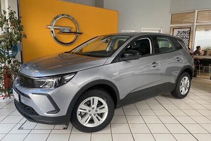 Opel Grandland (X) Gebrauchtwagen