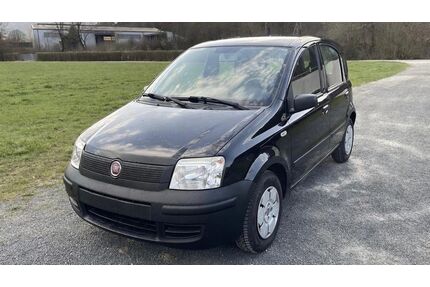 Fiat Panda Gebrauchtwagen
