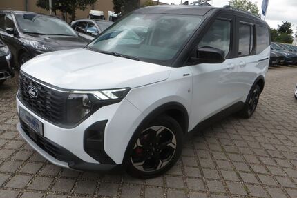 Ford Tourneo Courier Gebrauchtwagen