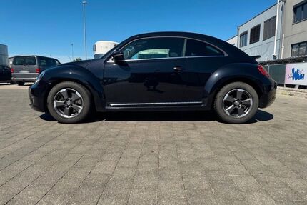 VW Beetle Gebrauchtwagen