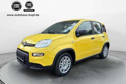 Fiat Panda Gebrauchtwagen