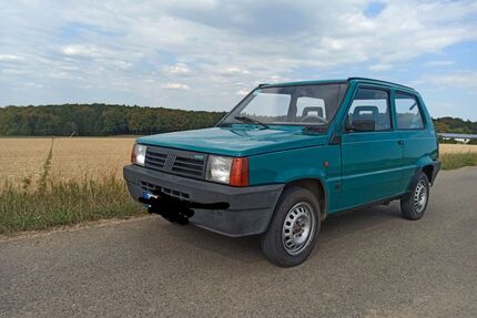 Fiat Panda Gebrauchtwagen