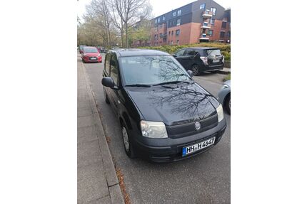 Fiat Panda Gebrauchtwagen