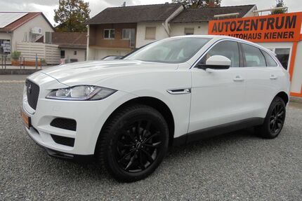 Jaguar F-Pace Gebrauchtwagen