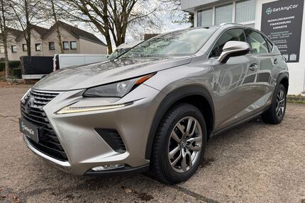 Lexus NX 300 Gebrauchtwagen
