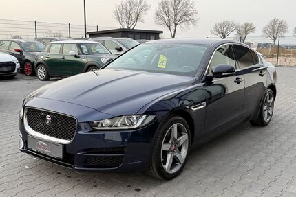 Jaguar XE Gebrauchtwagen