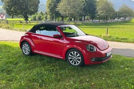 VW Beetle Gebrauchtwagen
