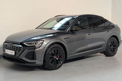 Audi Q8 e-tron Gebrauchtwagen