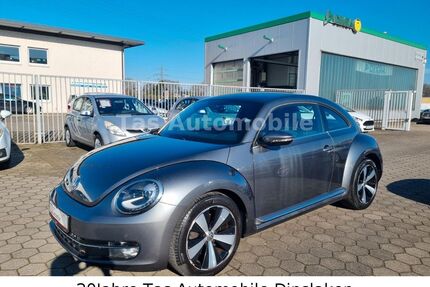 VW Beetle Gebrauchtwagen