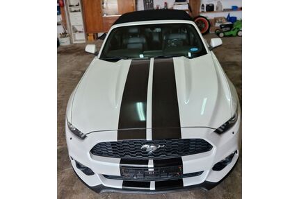 Ford Mustang Gebrauchtwagen