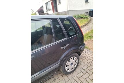 Ford Fusion Gebrauchtwagen