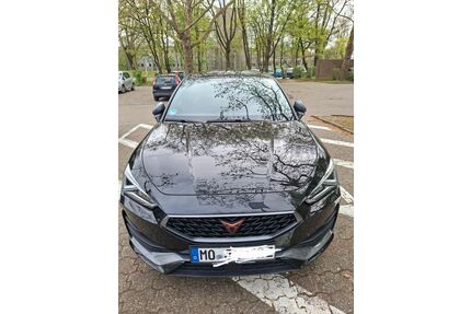 Cupra Leon Gebrauchtwagen