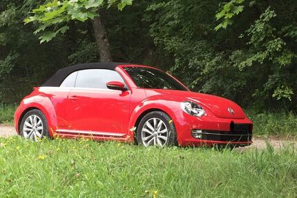 VW Beetle Gebrauchtwagen