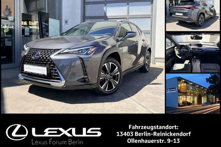 Lexus UX Gebrauchtwagen